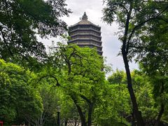 -玲珑塔公园