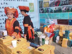 -南宁国际会展中心(会展东博文化旅游区)