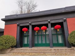 -三里屯东五街银杏大道