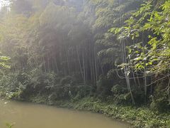 -日照海滨国家森林公园