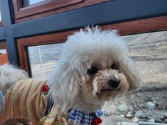 -云座·时光·观景咖啡厅(五爷庙店)