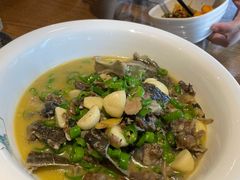 青椒焖沙鳖-老傅家湘潭水煮活鱼店(众一国际店)