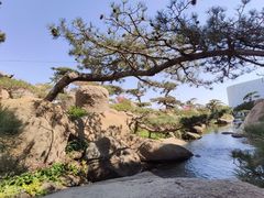 -罗红摄影艺术馆