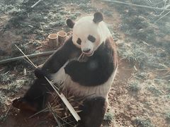 -济南野生动物世界