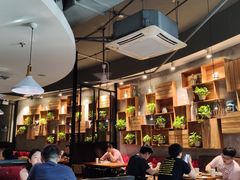 大堂-比格比萨自助(花园路店)