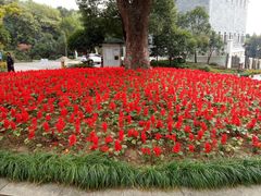 -杭州半山国家森林公园