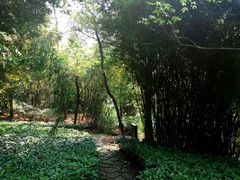 -南山植物园