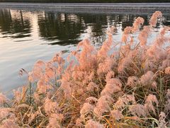 -郑东新区龙湖公共艺术中心