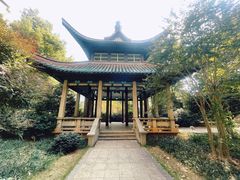 -长沙市青少年宫