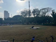 -广州长隆飞鸟乐园