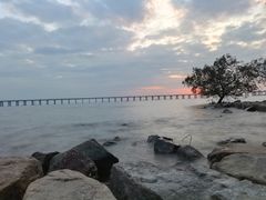 -宝安西湾红树林湿地公园