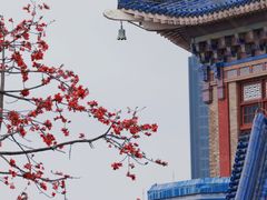 -广州中山纪念堂