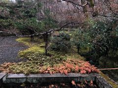 -西芳寺(苔寺)
