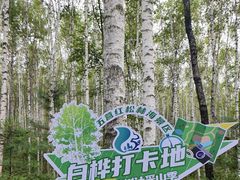 -五营红松林海景区