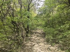 -龙洞风景区-藏龙涧