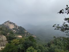 -六里坪国家森林公园