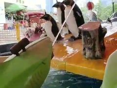 -凤岭儿童公园