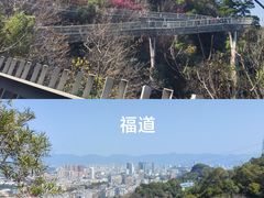 -福道
