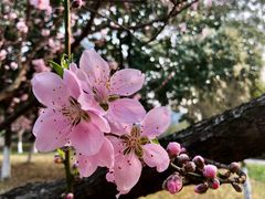 -白塘生态植物园