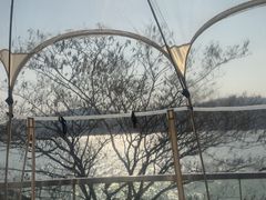 -水上明月·湖景餐厅