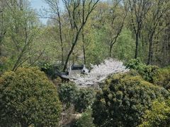 -南京东郊国宾馆