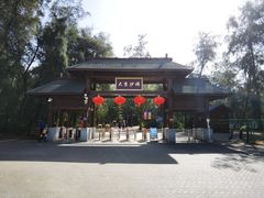 -大京沙滩