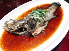 -森谷美食公园(杨行店)