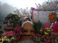 -南山植物园