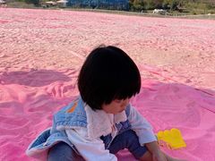 -大塘金香草谷