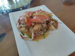 -前小桔亲子创意农场·草莓采摘·露营烧烤