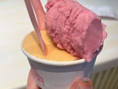 无花果石榴-红楼HONGLOU Gelato(淮海中路店)