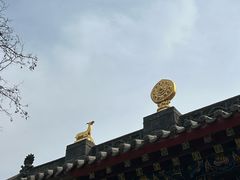-护国法轮寺