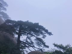 -天柱山风景区