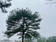 -Club Med地中海俱乐部·桂林度假村