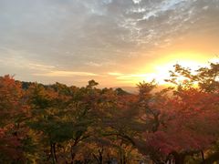 -有栖山 清光院 清水寺
