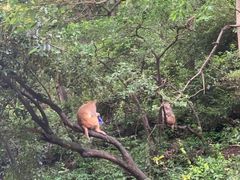 -黔灵山公园-南门售票处