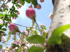 -元大都城垣遗址公园