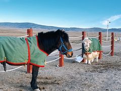 -青海湖国家重点风景名胜区