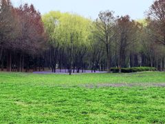 -长广溪湿地公园