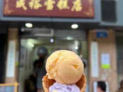 -成裕雪糕店(士多店)