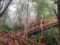 -大岭沟猕猴桃谷风景区