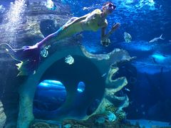 -多彩贵州城极地海洋世界