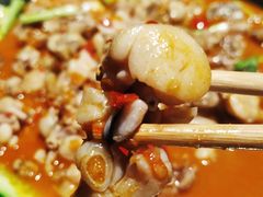 -湘里乡亲甲王二老店