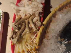-小龙坎火锅(全球总店)