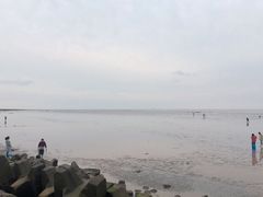 -南汇新城海滩