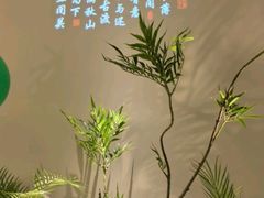 -绿茶餐厅(广州嘉裕太阳城店)