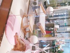 -momokira米努特·德文卷毛猫·棉花面纱犬