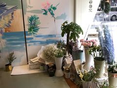 -蝶舍·MAISON PAPILLON