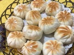 -洞密园美食城(富华路店)