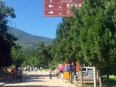 -嵩山少林文化旅游景区